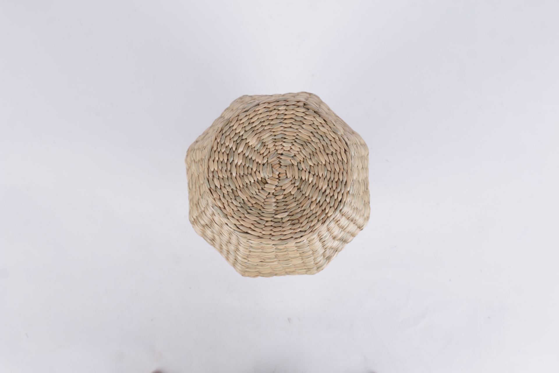 VCS26061901.1