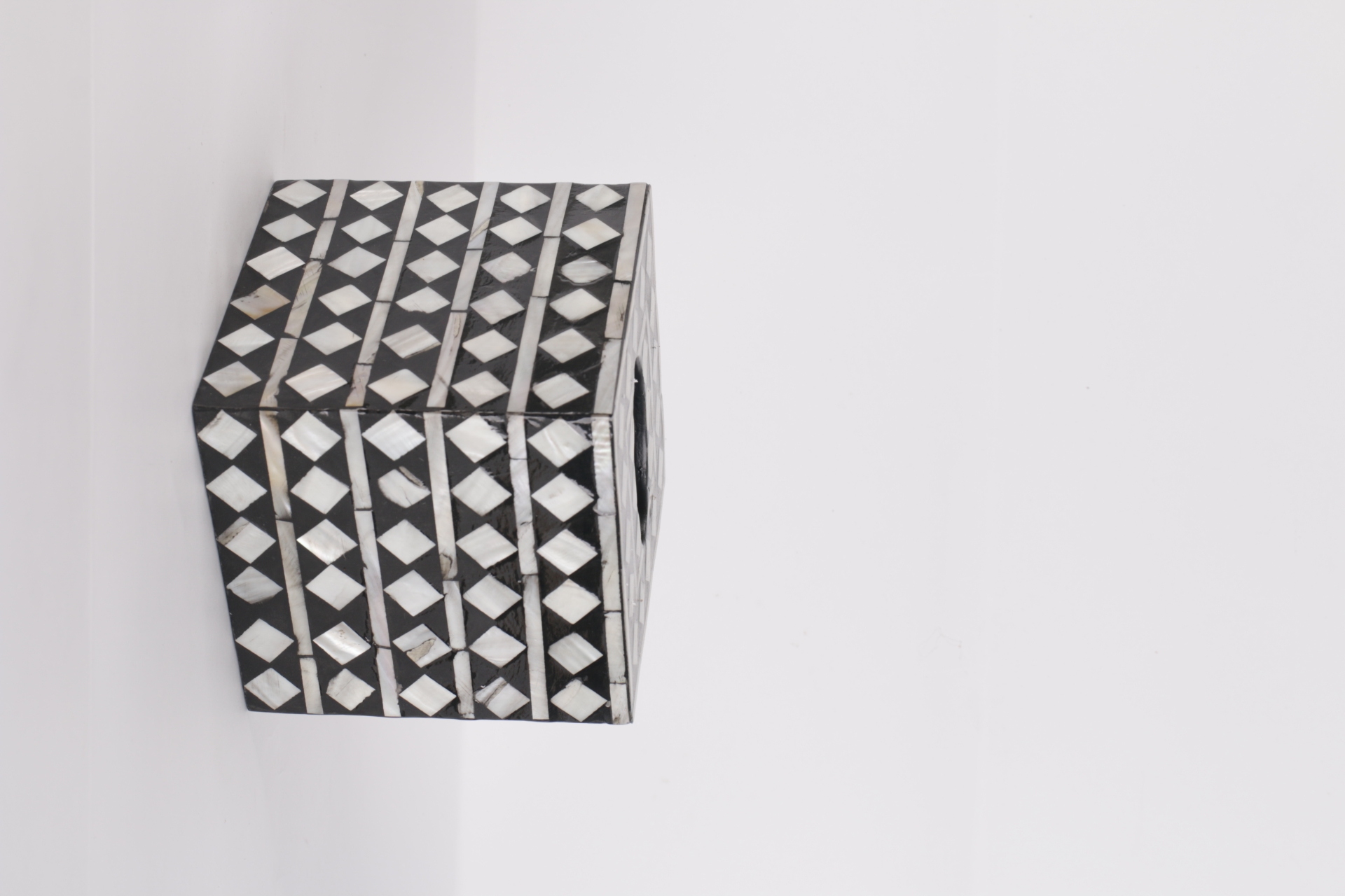 VCL24031331.1