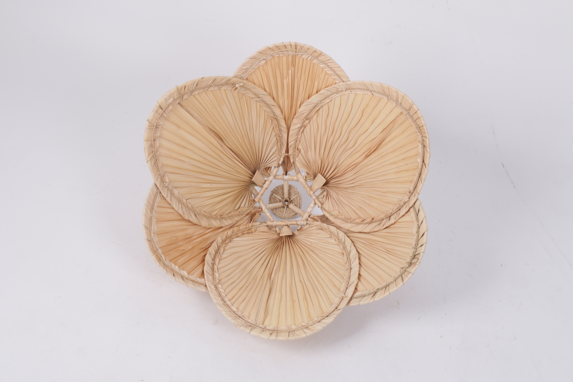 VC06PL624001