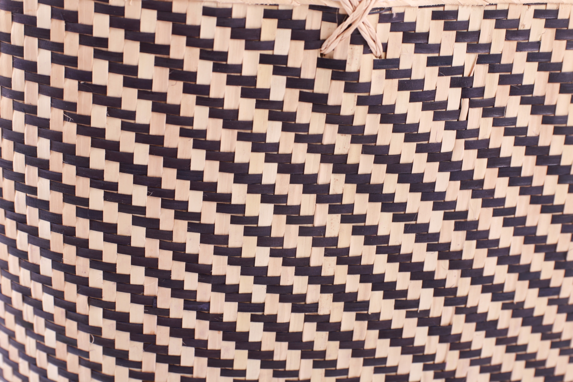 VCL23092702