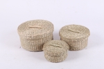VC02SE22036
