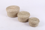 VC02SE22036