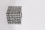 VCL24031331.1