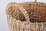 VC230907-2