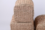 VC02SE23018