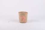 VC02SE23021