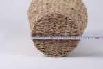 VC02SE23023