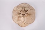 VC06PL624001
