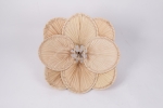 VC06PL624002