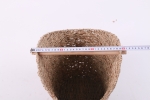 VC02SE23023