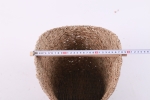 VC02SE23023