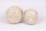 VC02SE621040