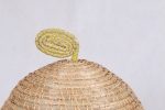 VC04SE621002