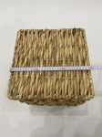 VCW22110106